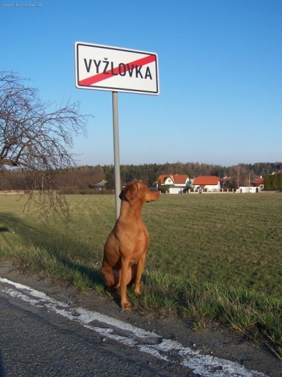 ...jedna pre vsetkych, ktori nevedia, odkial su vyzle :-)