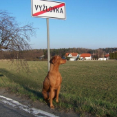 ...jedna pre vsetkych, ktori nevedia, odkial su vyzle :-)