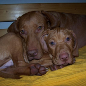 ...tak toto je uz faaaakt davno :-)