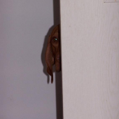 ...no...v poli je to maskovanie tak - nejak lahsie :-))