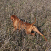 ...a takto vie stat nekonecne dlho...co je spraaaavne :-)