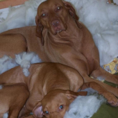 ...to nie ja, to maminka :-)))