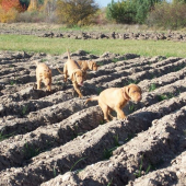 ...no, tak mame posadene, ideme domov :-))