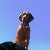 ...monitoring je vec dolezita...to je jasne :-)))