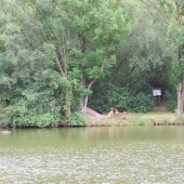 ... takto cakame na povel: 