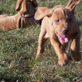 ...jupiiiiiiiiiiiiiiiiiiiiii :-D