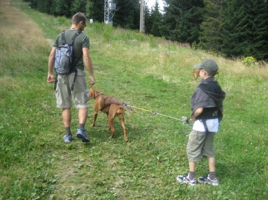 ...staci mat sedak a postroj a to sa to chodi na tury :-))