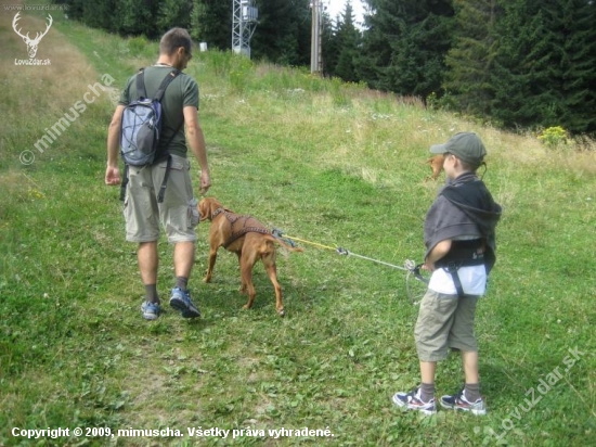 ...staci mat sedak a postroj a to sa to chodi na tury :-))