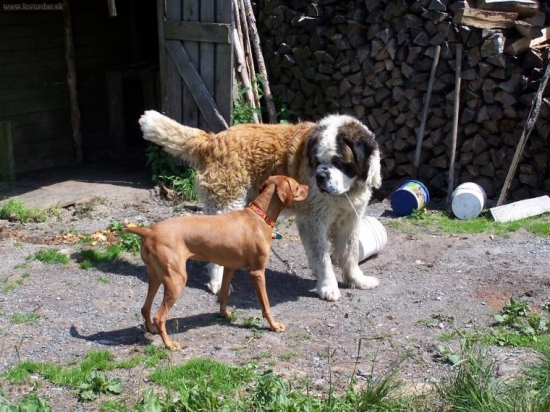 ...a ty si tiez lovecky??? :-)