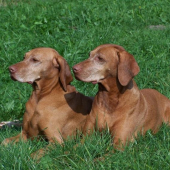 ...sestry babicky...Diba a Danubia...