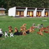 ...vikendovy vycvik Luckovice...no paraaada to bola :-)