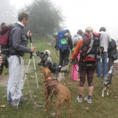 ...nas prvy DOG TREK - 98km...vysledok: 1.miesto, 13hod16min