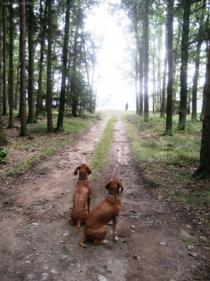 ...kam zas leti?... :-))