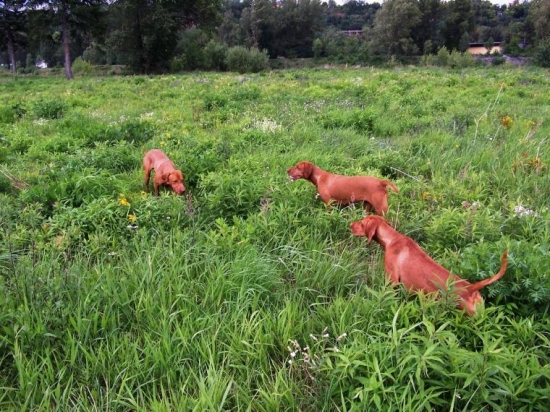 ...a maame ta... :-)