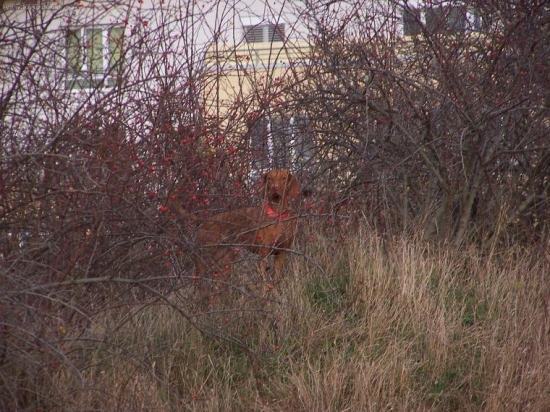 ...a este stale ma vidis?? :-D