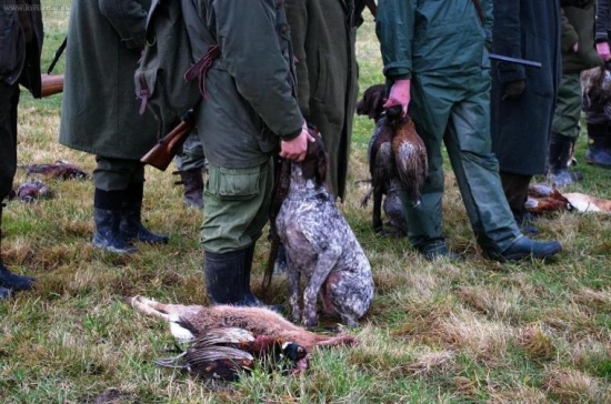 ...keď už aj pes toho má plné zuby...