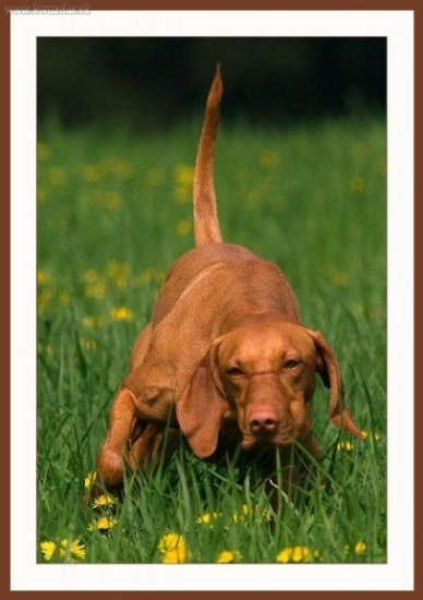 Lety...foto Martin Štepanovsky