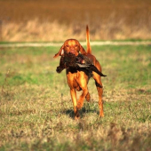 ...no  vidis, a ani to nebolelo :-))