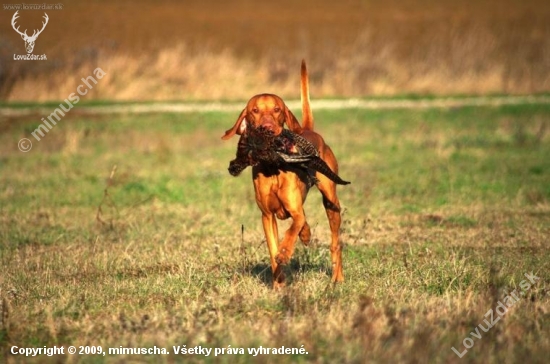 ...no  vidis, a ani to nebolelo :-))