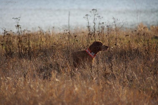 ...nevyrusovaaaat, prosiiiiiiim...:-D