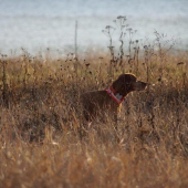 ...nevyrusovaaaat, prosiiiiiiim...:-D