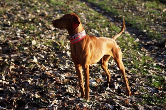 ...nie, do slnka sa neotocim :-D