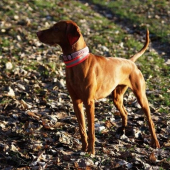 ...nie, do slnka sa neotocim :-D