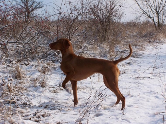 ...celyyy tata, celyyy tata :-)))