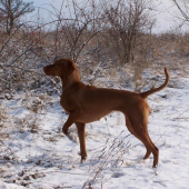 ...celyyy tata, celyyy tata :-)))