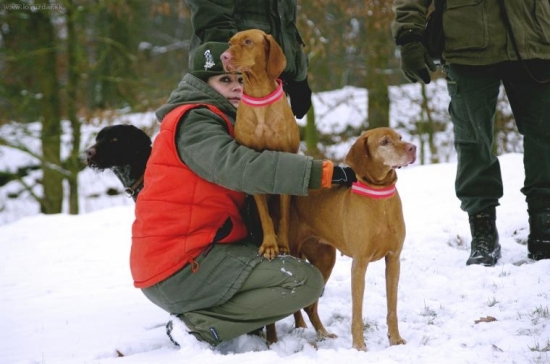 ...pocut klapacky honcov, zacinaju lietat prve bazanty...