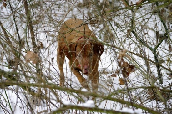 ...aaaa este jeden zasity...