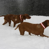 ...sa ti povie, vystavuj...v tom snehu :-D