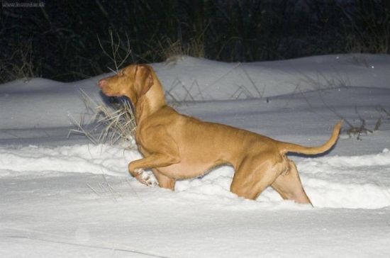 ...s este viac snehu :-)