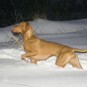 ...s este viac snehu :-)