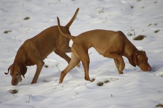 ...jedna tam a druha tam...a teraz sa rozhodni :-))