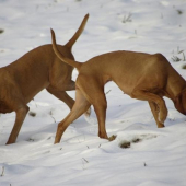 ...jedna tam a druha tam...a teraz sa rozhodni :-))