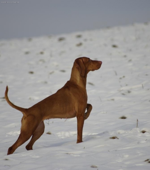 ...asi predsalen tymto smerom :-D