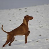 ...asi predsalen tymto smerom :-D