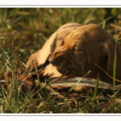 ...fuj, to je ale hnus... :-D, foto:M.Stepanovsky