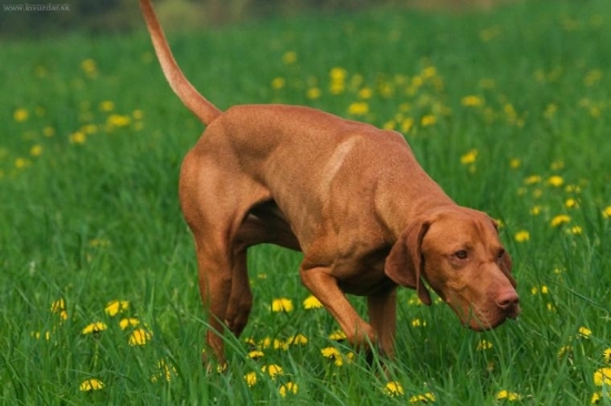 ...na stope...foto:M.Stepanovsky