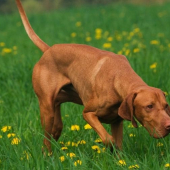 ...na stope...foto:M.Stepanovsky