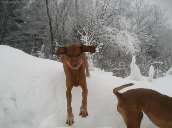 ...moje nervy...to je kopcisko :-))