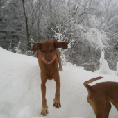 ...moje nervy...to je kopcisko :-))