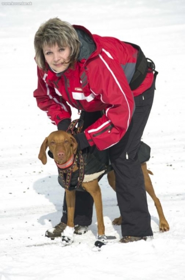 ...poviem vam, vyzliect psa z postroja, to je nieco :-)