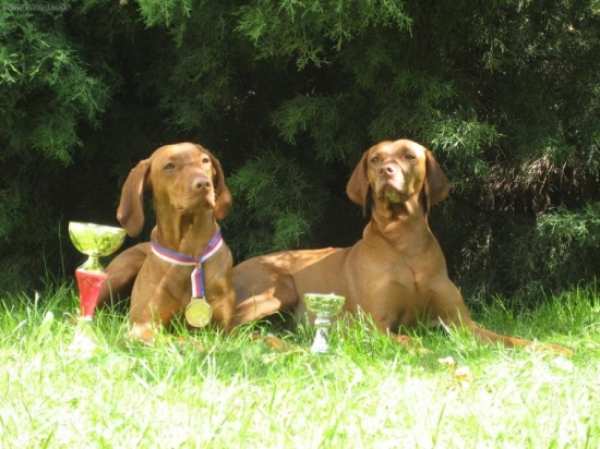 ...odpocinok po dobre vykonanej praci :-)