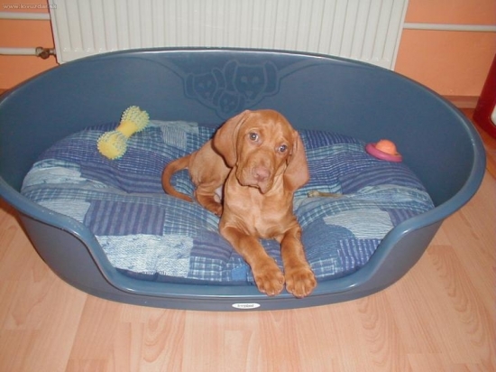 ...ked som bol malicky pacholicek :-)