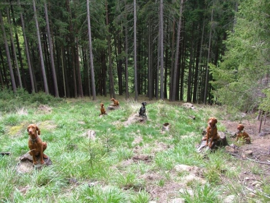 ...ako huby po dazdi :-))