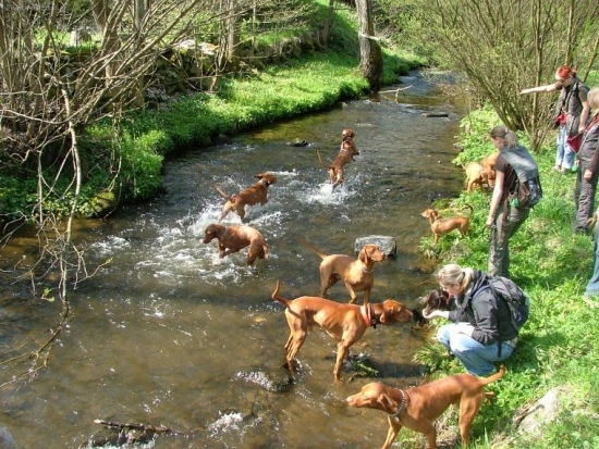 ...kupanie divokej zvere :-)))