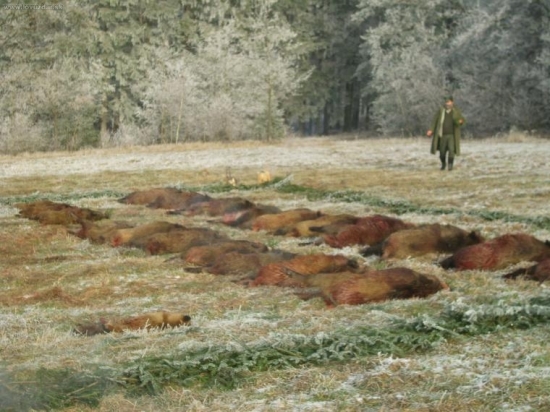 Naháňka se slíděním.