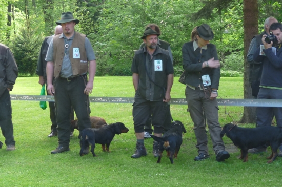 Od Kardaše.  Konopiště